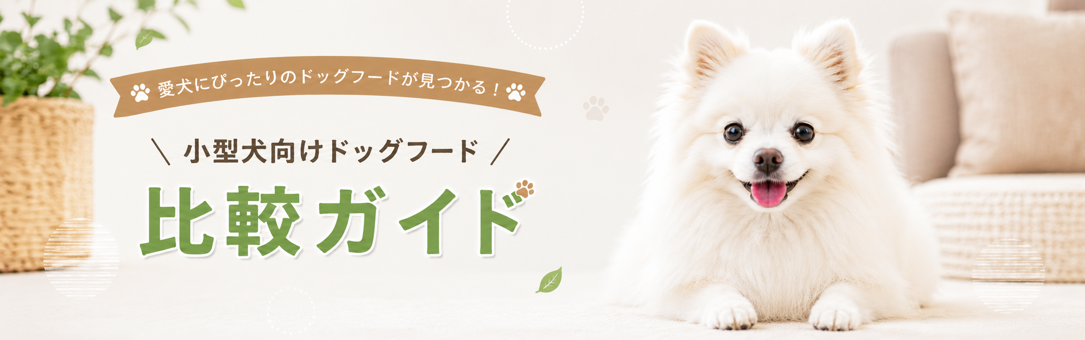 小型犬向けドッグフード比較ガイド